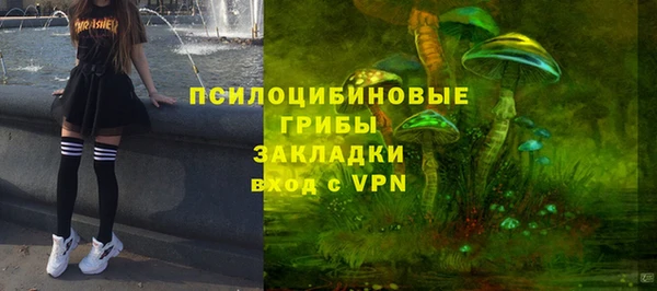 ГАЛЛЮЦИНОГЕННЫЕ ГРИБЫ Алзамай