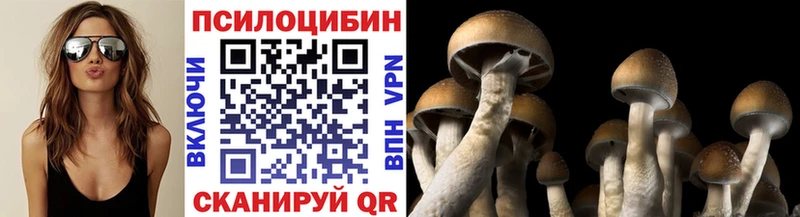 Галлюциногенные грибы Psilocybe  Бронницы 